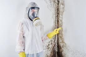 Best Water Damage & Mold Remediation in White Center, WA